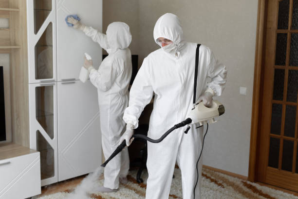 Best Kitchen Mold Remediation in Mledgevle, IL